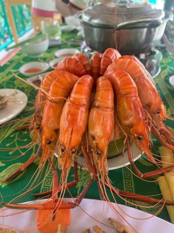 From Ho Chi Minh City: Ben Tre - the Coconut Land With Lunch - Festivals and Surcharges