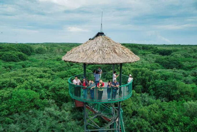 From Ho Chi Minh City: Can Gio Mangrove Forest Day Tour - Important Information and Recommendations