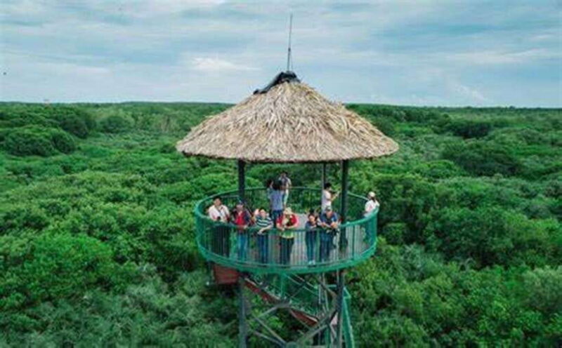 From Ho Chi Minh City: Can Gio Mangrove & Monkey Island Day… - Itinerary Highlights