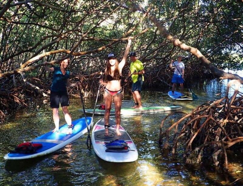 From Ho Chi Minh City: Can Gio Mangrove & Monkey Island Day… - Exploring the Mangrove Forest