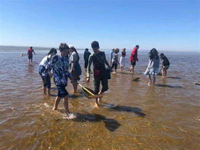 From Ho Chi Minh City: Can Gio Mangrove & Monkey Island Day… - Can Gio Resort