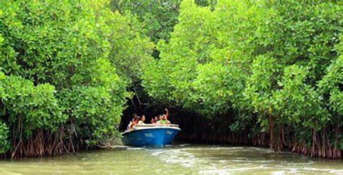 From Ho Chi Minh City: Can Gio Mangrove & Monkey Island Day… - Since You Asked