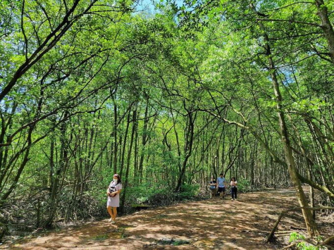 From Ho Chi Minh City: Can Gio Mangrove & Monkey Island Trek - Frequently Asked Questions