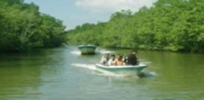 From Ho Chi Minh City: Can Gio Monkey Island Day Tour - Monkey Encounter
