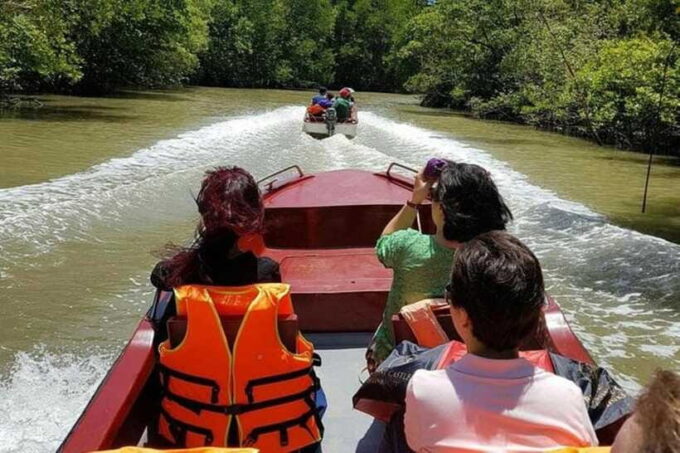 From Ho Chi Minh City: Can Gio Monkey Island Day Tour - Since You Asked