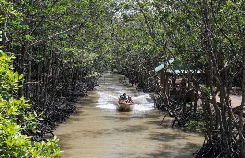 From Ho Chi Minh City: Can Gio Monkey Island Day Trip - Detailed Itinerary