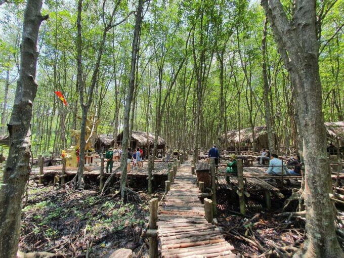 From Ho Chi Minh City: Can Gio Monkey Island Day Trip - Transportation and Pickups