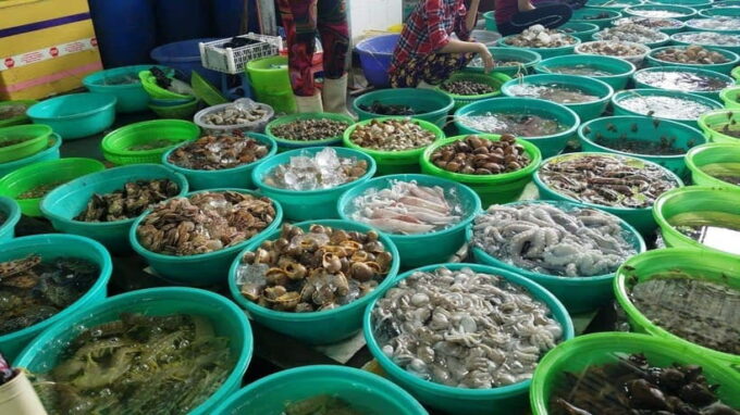 From Ho Chi Minh City: Can Gio Monkey Island Day Trip - Since You Asked