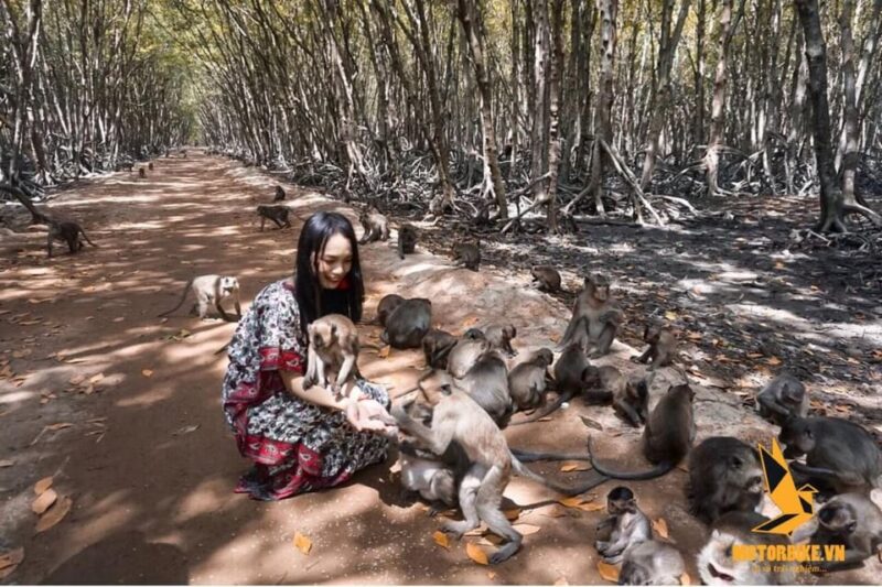 From Ho Chi Minh City: Can Gio Monkey Island Day Trip - Key Points