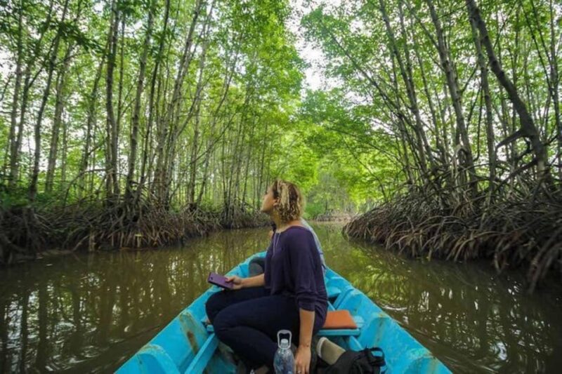 From Ho Chi Minh City: Group Tour Can Gio Mangrove Forest - Pickup and Drop-off Locations