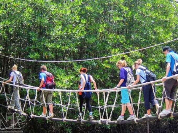 From Ho Chi Minh City: Group Tour Can Gio Mangrove Forest - Lunch and Refreshments