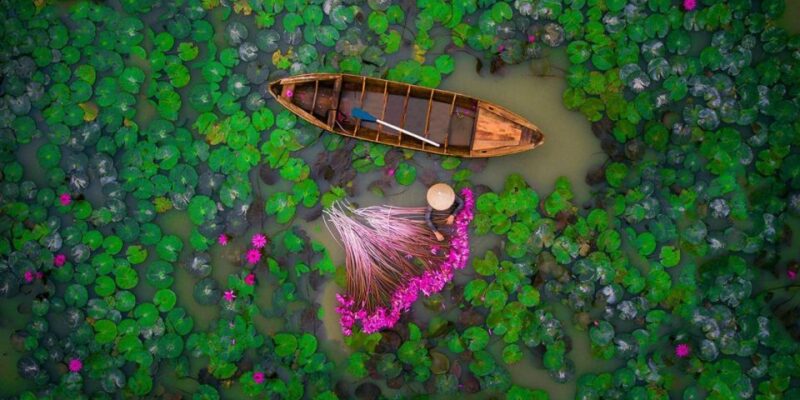From Ho Chi Minh City: Luxury Mekong Full-Day Trip - Lunch at a Local Restaurant