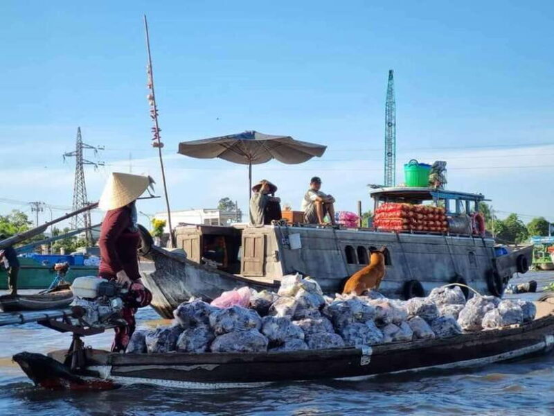FROM HO CHI MINH CITY: MEKONG DELTA 2D1N WITH 3 STAR HOTEL - Overview and Pricing