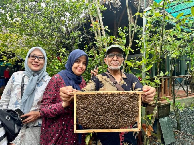 From Ho Chi Minh City: Mekong Delta Group or Private Tour - Coconut Island and Local Family Home