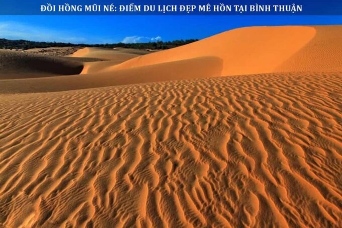 From Ho Chi Minh City: Mui Ne Beach & Fairy Stream - Frequently Asked Questions