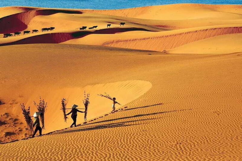 From Ho Chi Minh City: Mui Ne White Sand Dunes Day Trip - Frequently Asked Questions