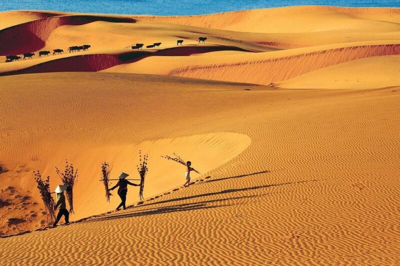 From Ho Chi Minh City: Relax In Mui Ne Beach In 1 Day - Tour Guide and Language Options