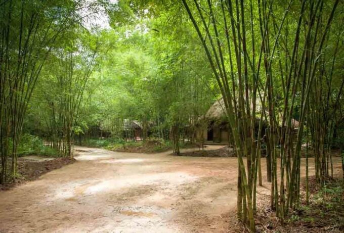 From Ho Chi Minh: CU CHI TUNNEL & MEKONG DELTA FULL DAY TRIP - Frequently Asked Questions