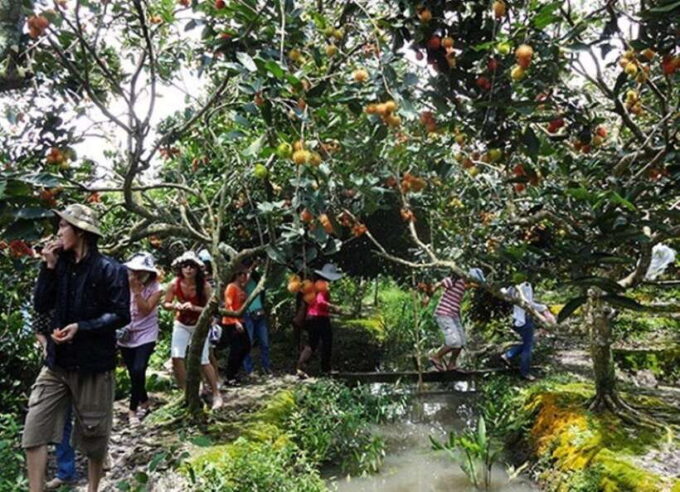 FROM HO CHI MINH: CU CHI TUNNELS & MEKONG DELTA FULL DAY - Experiencing Local Culture and Cuisine
