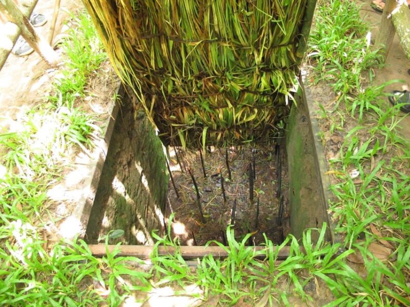 From Ho Chi Minh: Cu Chi Tunnels Tour Morning or Afternoon - Key Points