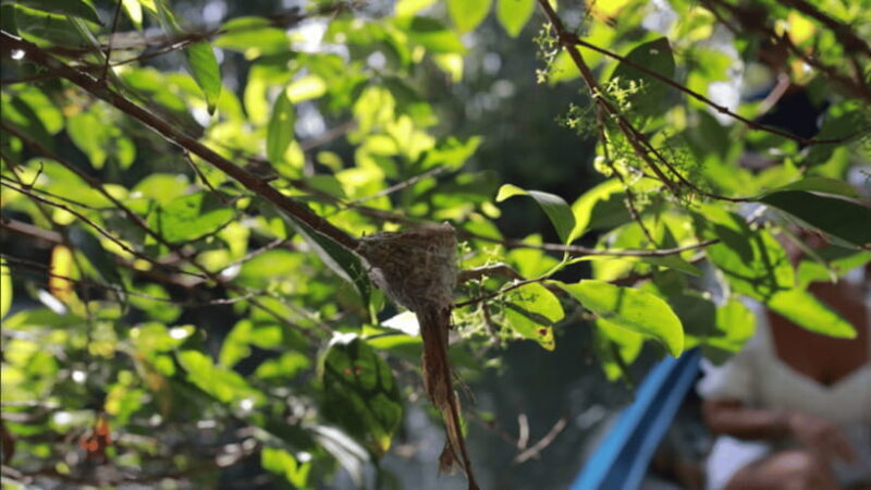 From Ho Chi Minh: Full Day Floating Market & Nature Reserve - Exploring Cái Răng Floating Market