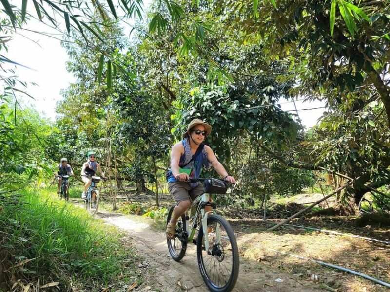 From Ho Chi Minh: Mekong Delta 1 Day Tour- Guide Japanese - Leisure Activities