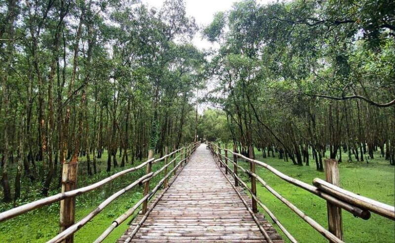 From Ho Chi Minh: Mekong Delta 3 Days_ Tra Su Forest - Key Points
