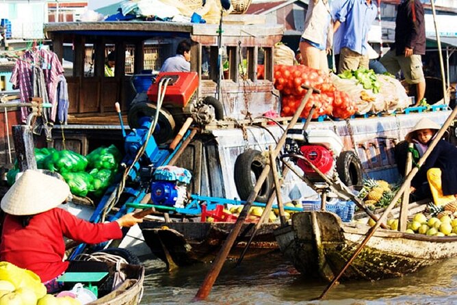From Ho Chi Minh: Mekong Delta and Cai Rang Market 2-Day Trip - Trip Overview
