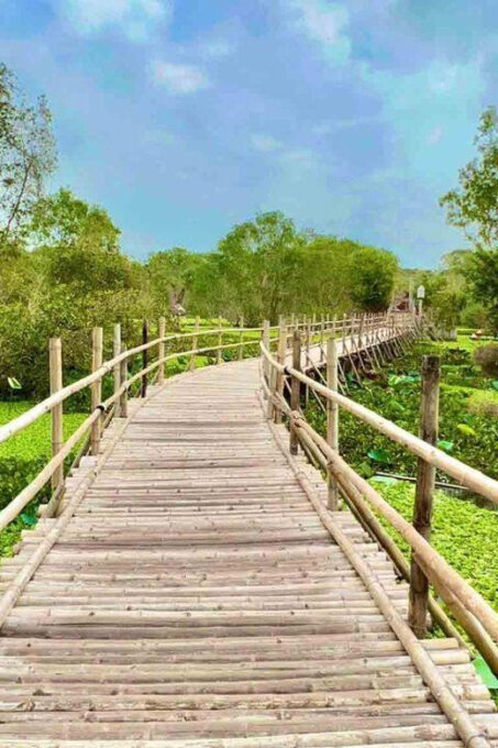 From Ho Chi Minh: Mekong Delta and Tra Su Forest 3D2N Tour - Additional Information