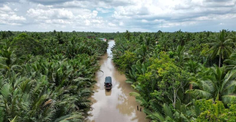 From Ho Chi Minh: Mekong Delta Customized Private Tour - Itinerary