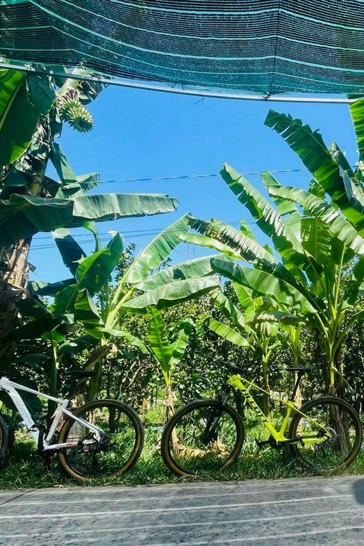 From Ho Chi Minh: Mekong Delta Day Trip With Biking - Key Points