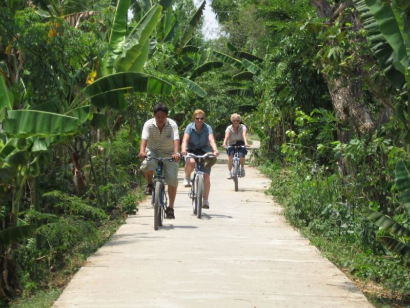From Ho Chi Minh: Mekong Delta, My Tho & Ben Tre Day Trip - Key Points