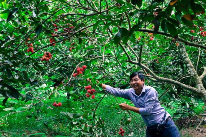 From Ho Chi Minh: Mekong Delta Tour With Cooking Class - Culinary Highlights