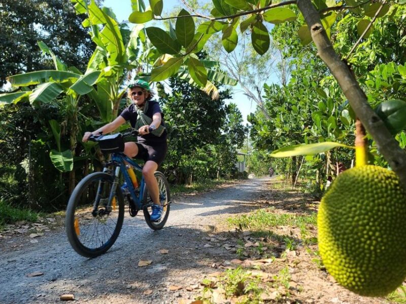 From Ho Chi Minh: Non-Touristy Mekong Delta With Biking - Activities and Experiences