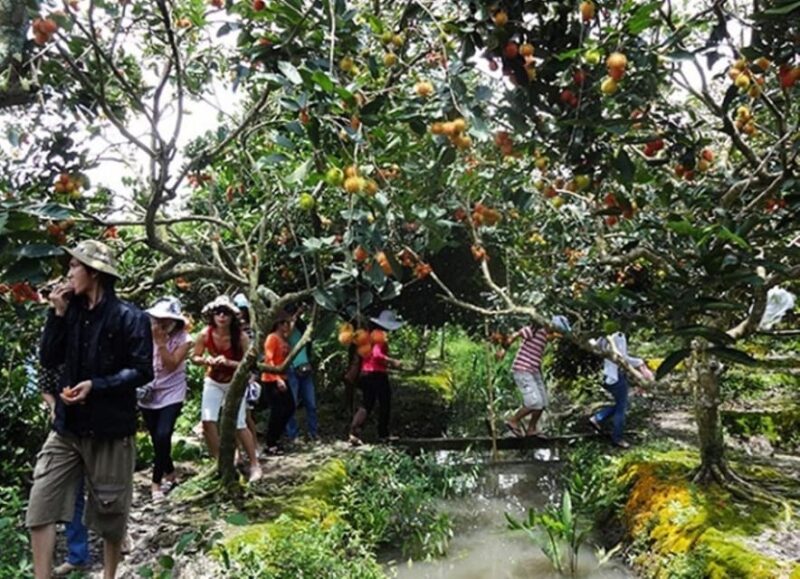 FROM HO CHI MINH: OVERVIEW MEKONG DELTA 1 DAY - Visit Honey Bee Farm