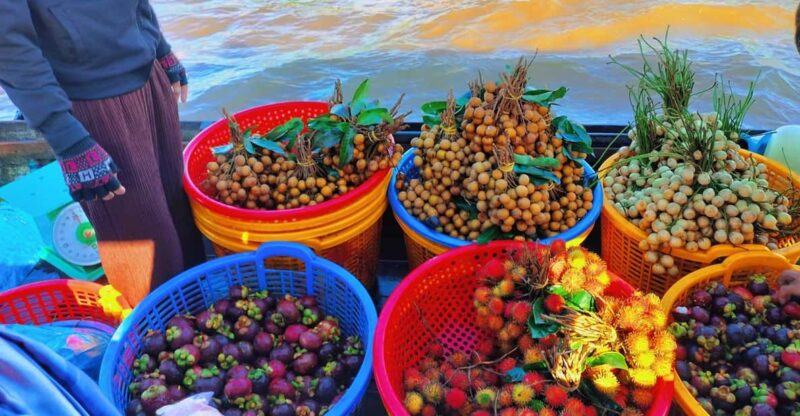 From Ho Chi Minh: Private Cai Rang Floating Market 1 Day - Itinerary Details