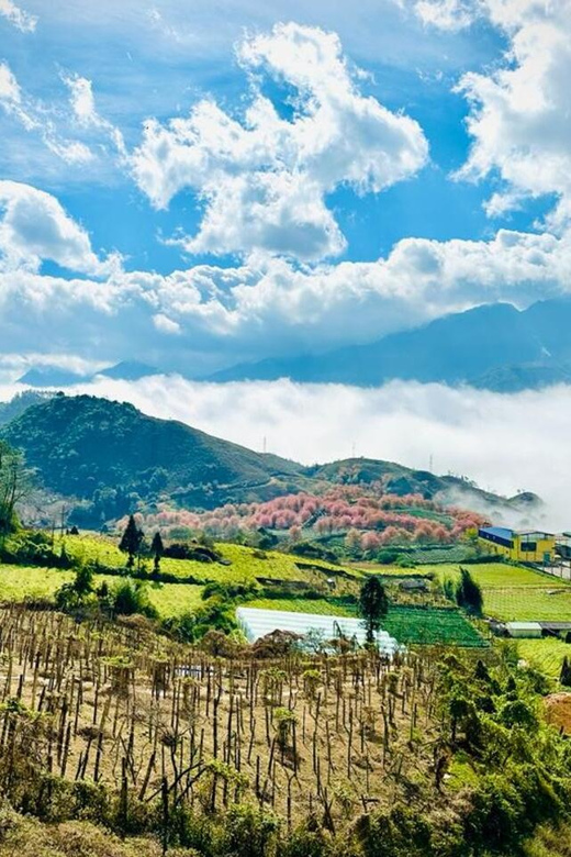 From Ho Chi Minh: Sapa Tour 2 Days 1 Night Tour - Key Points
