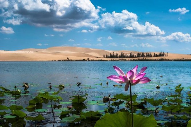 From Ho Chi Minh To Mui Ne Best Day Trip | Sunset Tour - Tour Exclusions