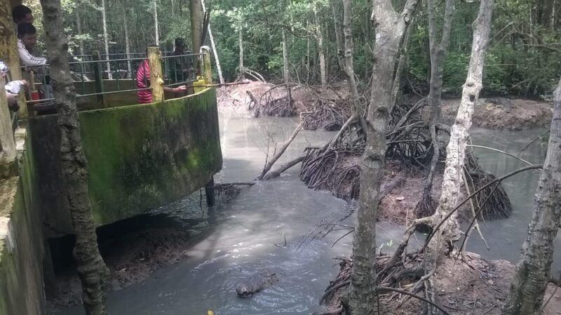 From Ho Chi Minh: Trek Can Gio Mangrove, Monkey Island - Inclusions