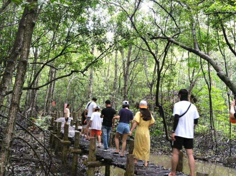 From Ho Chi Minh:Group or Private Tour Can Gio,Monkey Island - Key Points
