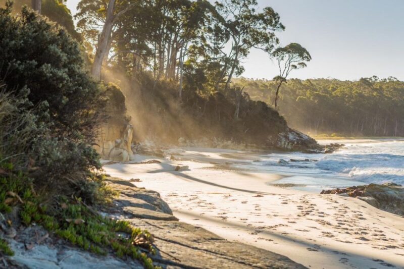 From Hobart: 2-Day Bruny Island and Port Arthur Tour - Key Points