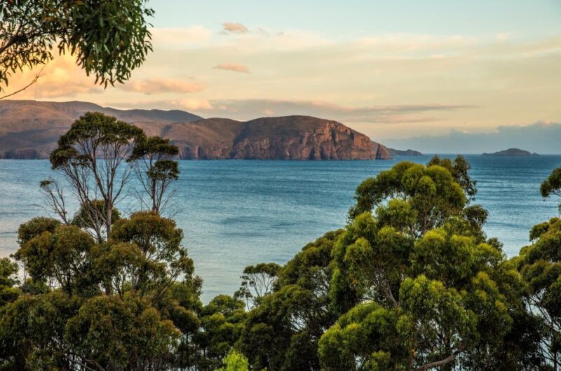 From Hobart: 2-Day Bruny Island and Port Arthur Tour - Mavista Rainforest Walk
