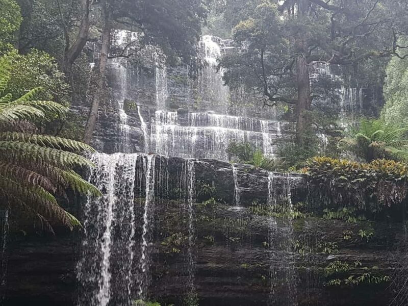 From Hobart: 2 Day Cradle Mountain Tour - From Hobart: 2 Day Cradle Mountain Tour — A Natural Escape into Tasmania’s Wilderness
