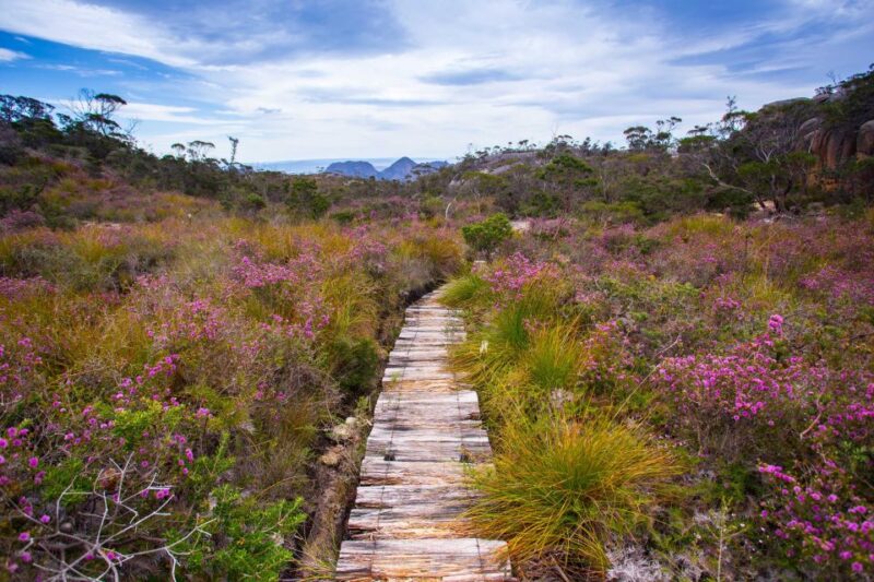 From Hobart: 4-Day Guided Freycinet National Park Walk - Key Points