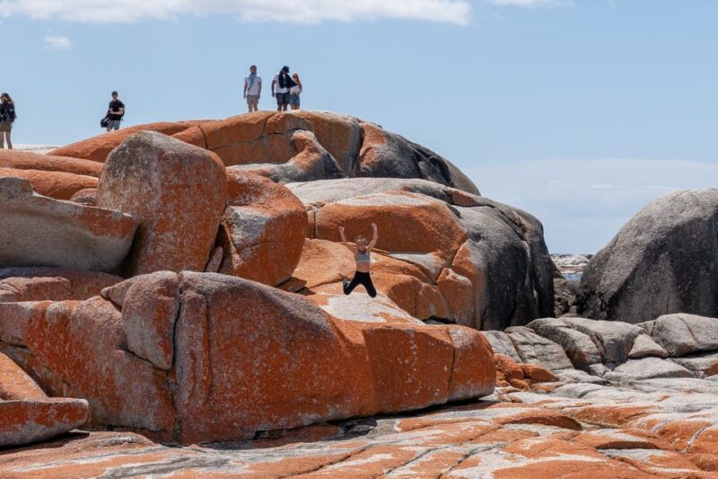 From Hobart: 5-Day Tasmania West & East Coast Tour - Hobart to Strahan