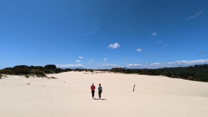 From Hobart: 5-Day Tasmania West & East Coast Tour - Included and Excluded