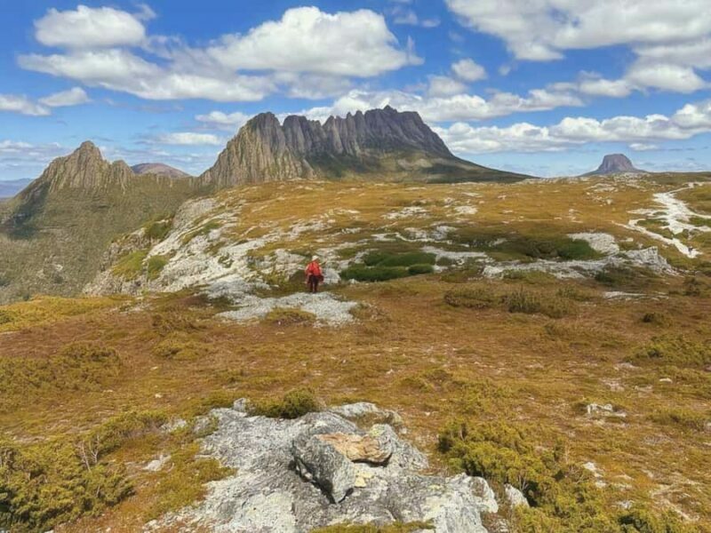 From Hobart: Active Day Trip to Cradle Mountain - Wildlife & Nature in Action