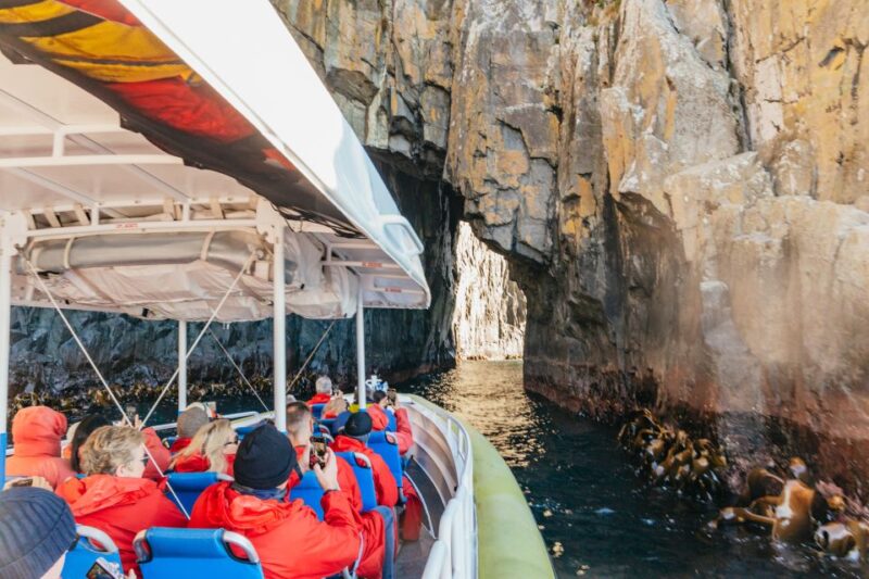 From Hobart/Adventure Bay: Bruny Island Wilderness Cruise - Rugged Coastline Exploration
