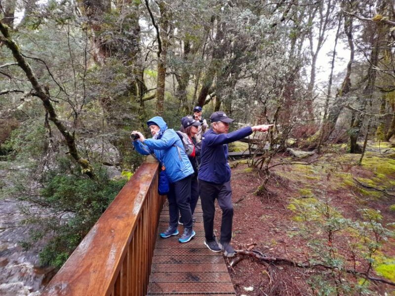 From Hobart: Cradle Mountain Full Day Tour - Picnic Lunch in Nature