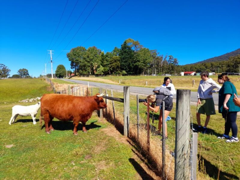 From Hobart: Cradle Mountain Full Day Tour - Dining in the Wilderness